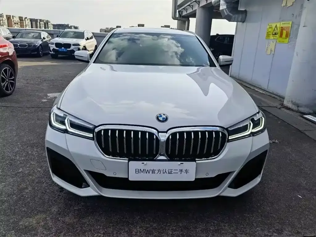 BMW 5 Series 2023 из CN, фото 5