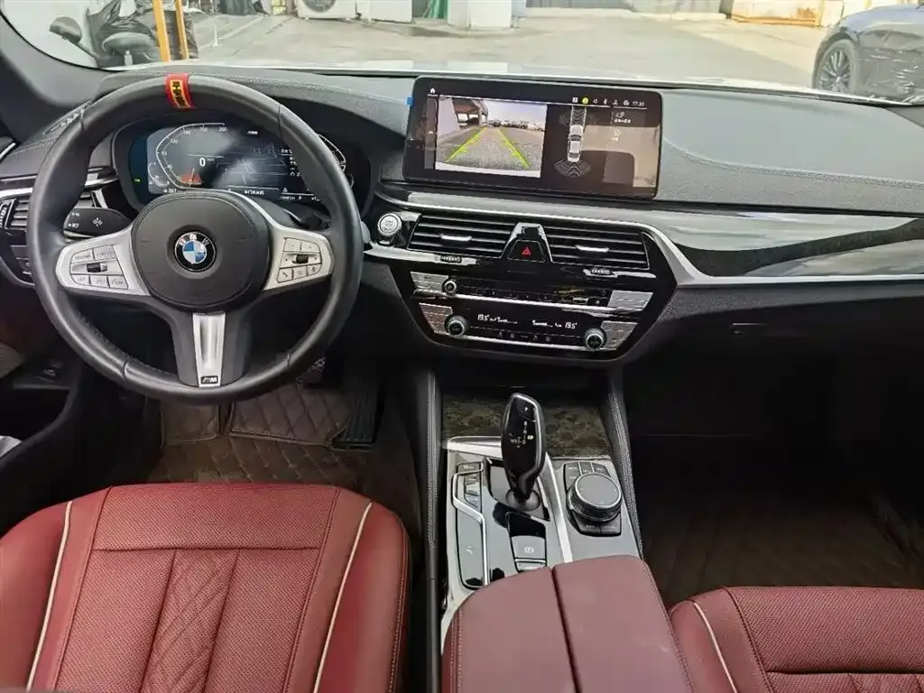 BMW 5 Series 2023 из CN, фото 8