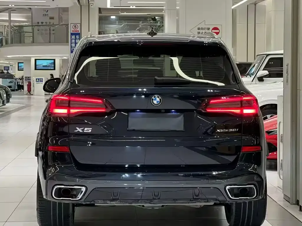 BMW X5 (Import) — фото 4