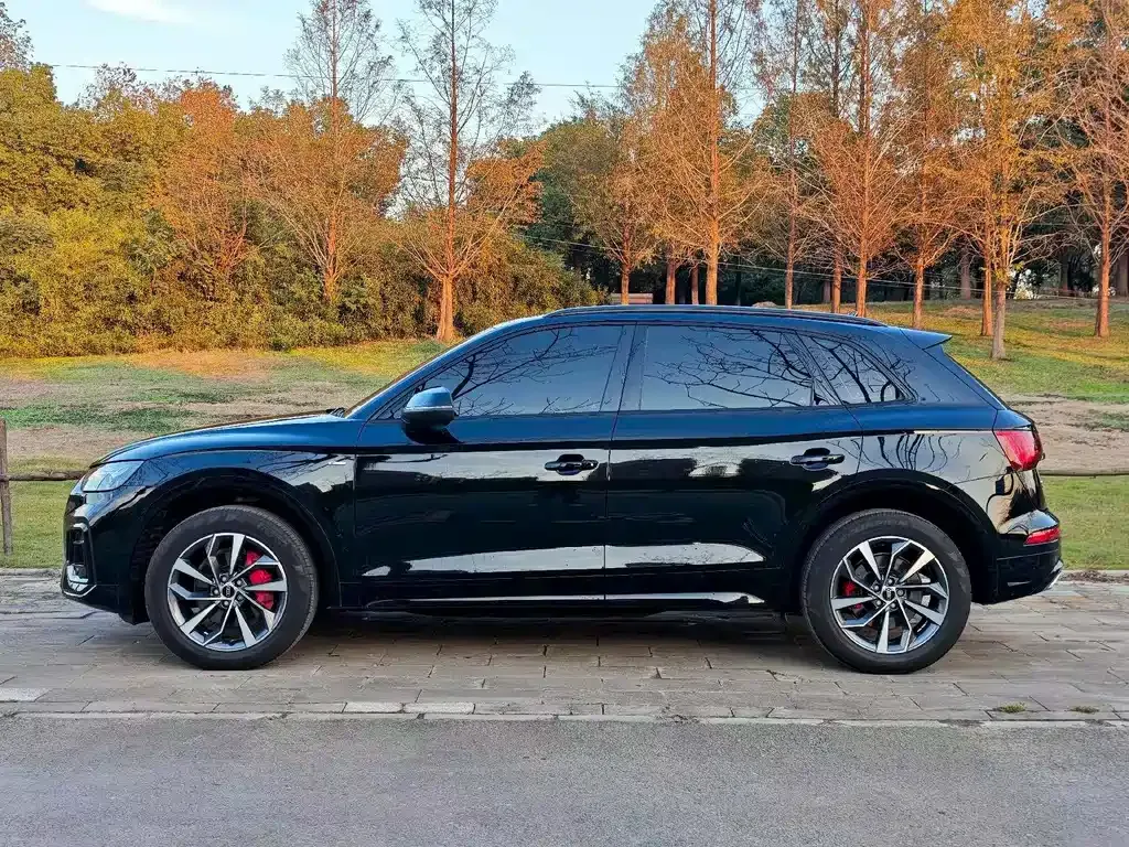 Audi Q5L 2024 из CN, фото 7