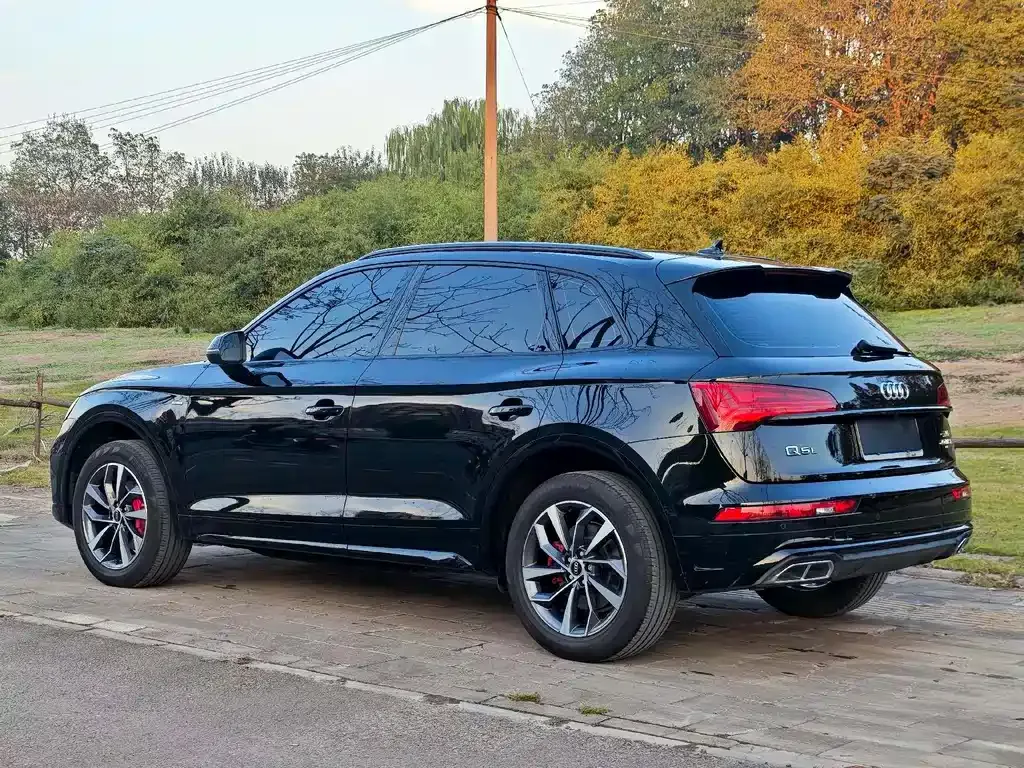 Audi Q5L 2024 из CN, фото 9