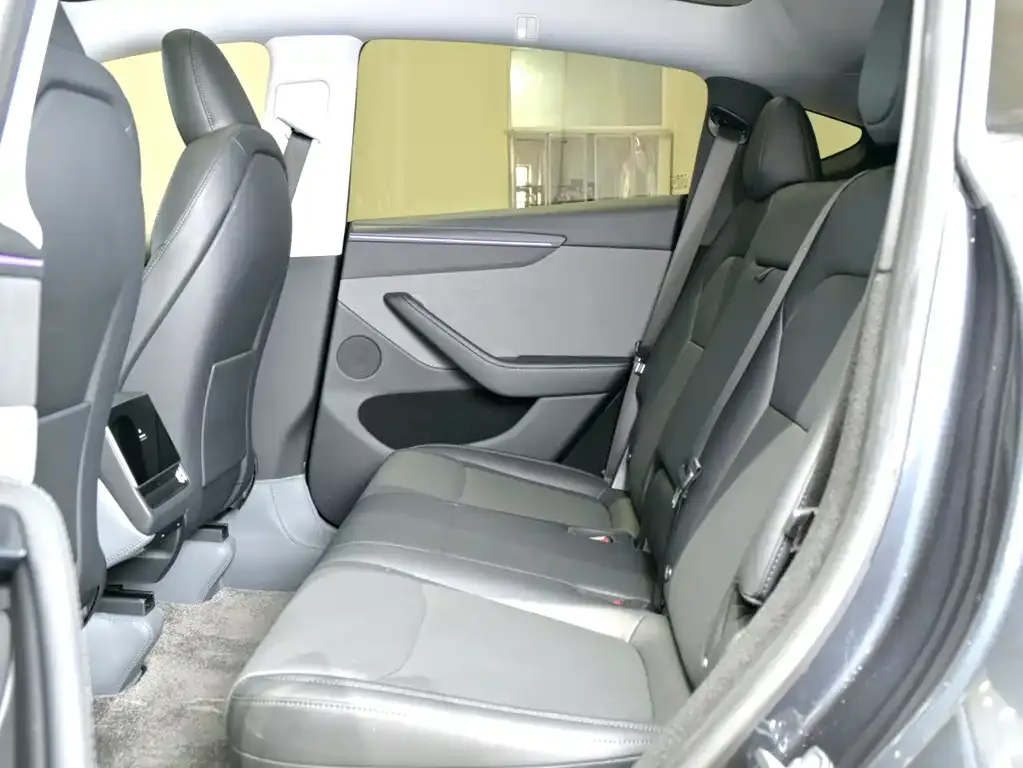 Tesla Model Y 2025 из CN, фото 6