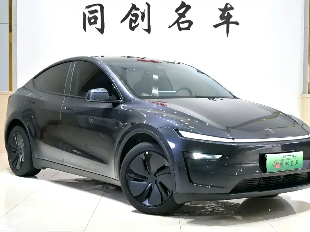 Tesla Model Y 2025 из CN, фото 9