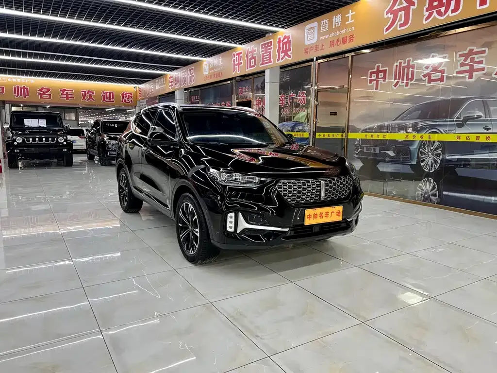 Wey VV6 2021 из CN, фото 7