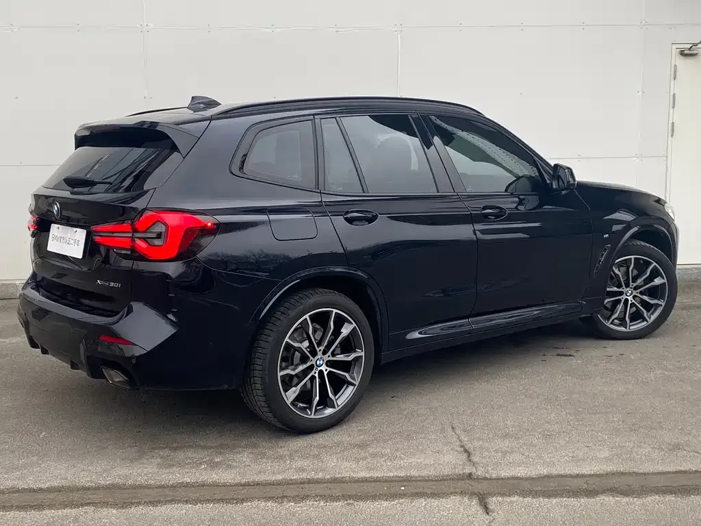 BMW X3 2024 из CN, фото 3