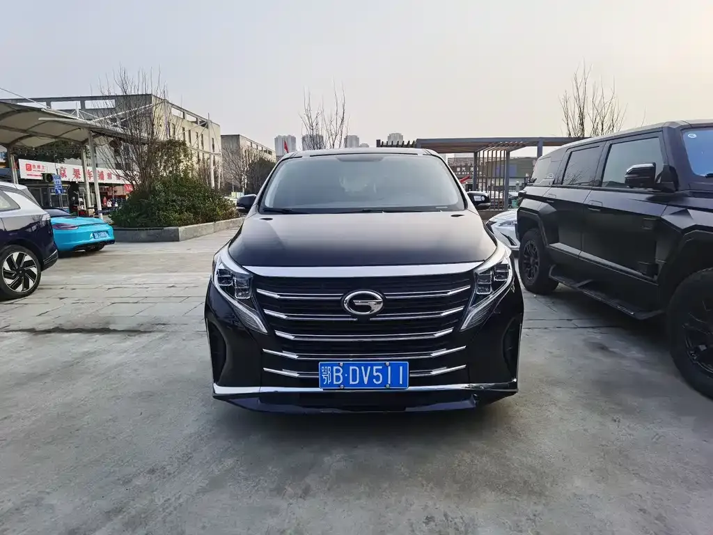 GAC Motor Trumpchi M8 2023 из CN, фото 4