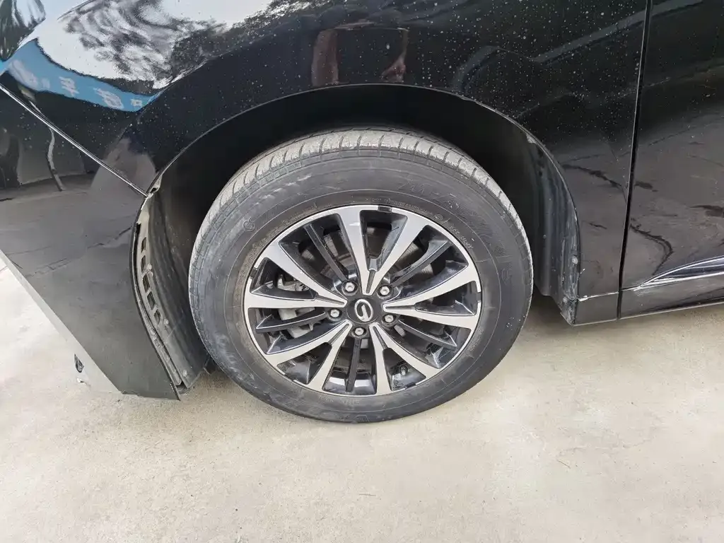 GAC Motor Trumpchi M8 2023 из CN, фото 2