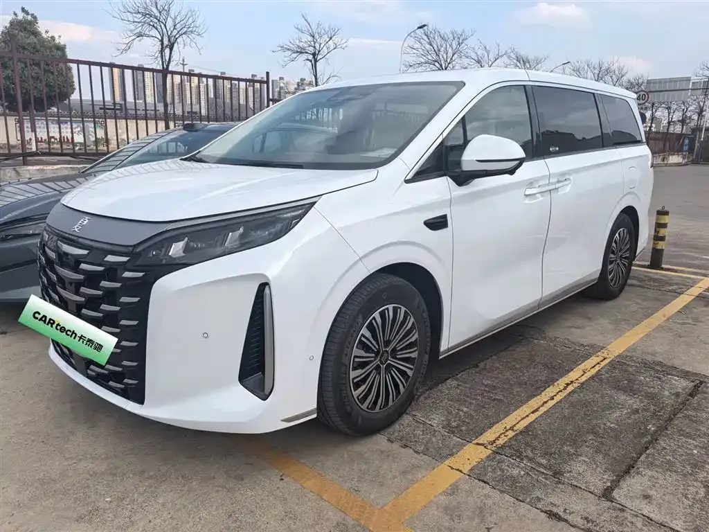 BYD Xia 2025 из CN, фото 1