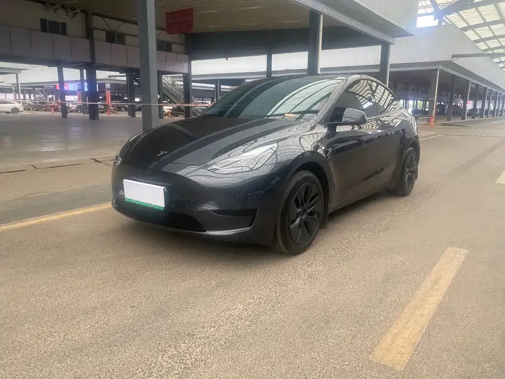 Tesla Model Y 2024 из CN, фото 1
