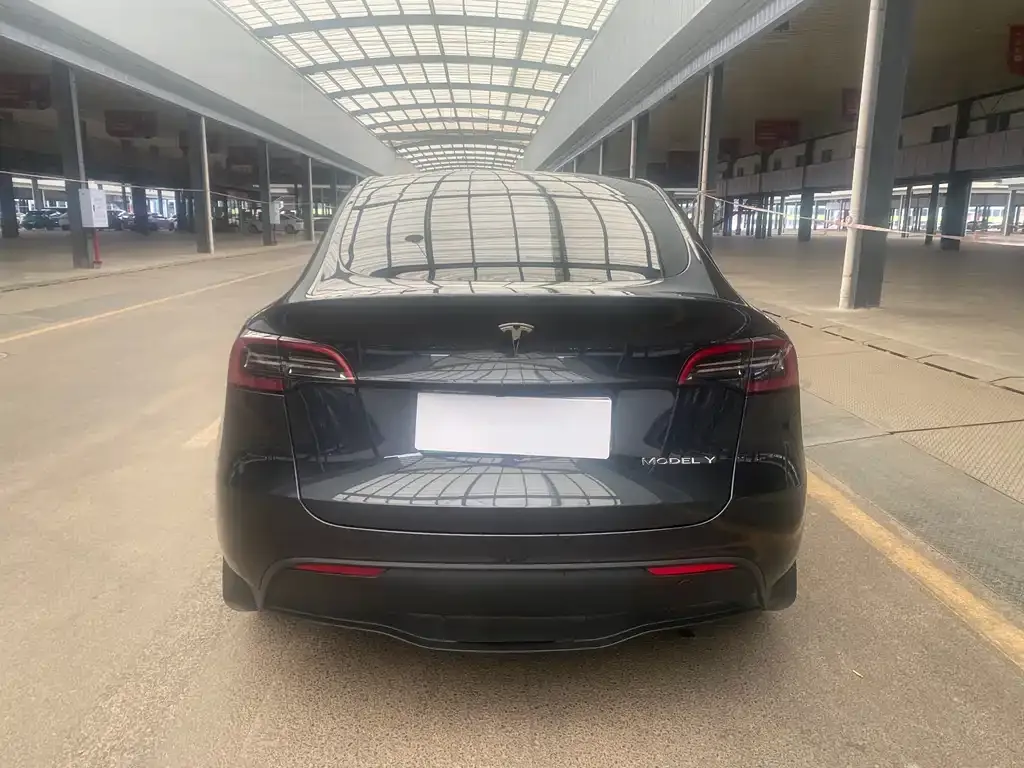 Tesla Model Y 2024 из CN, фото 6