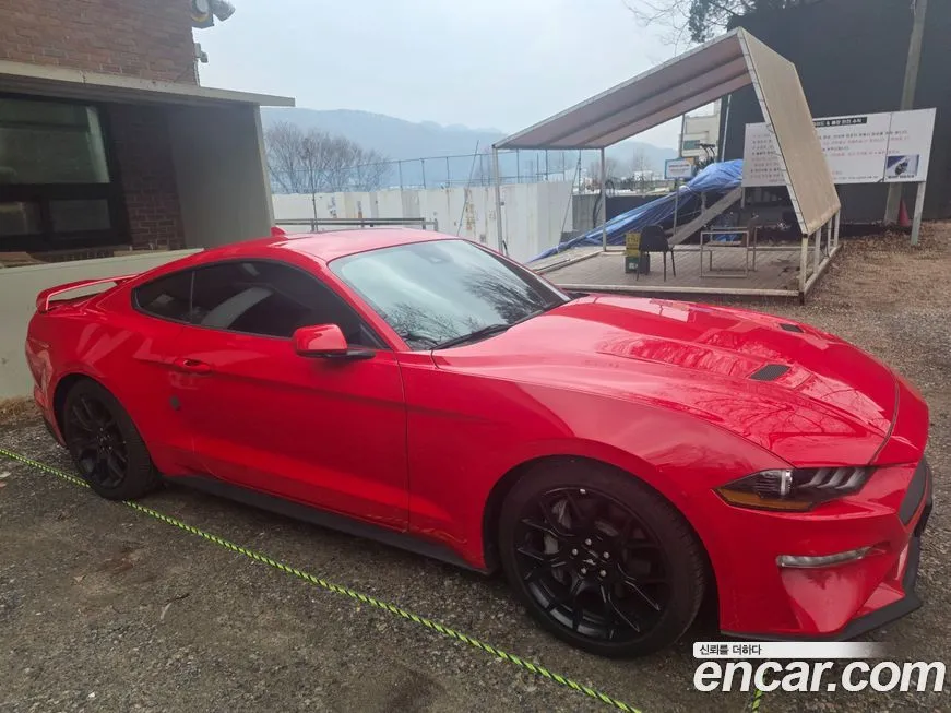 Ford Mustang 2021 из KR, фото 4