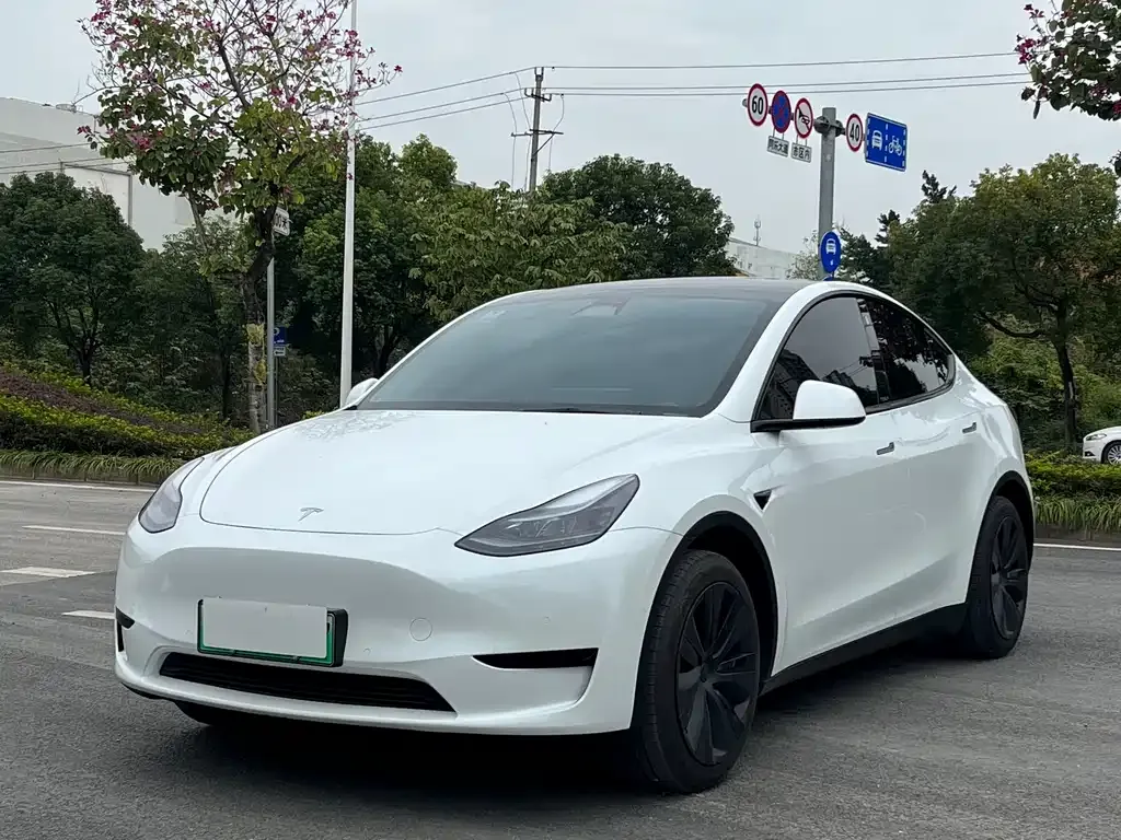 Tesla Model Y — фото 1