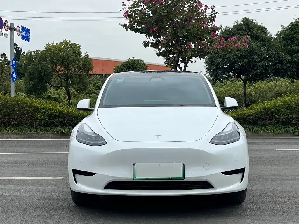 Tesla Model Y — фото 8