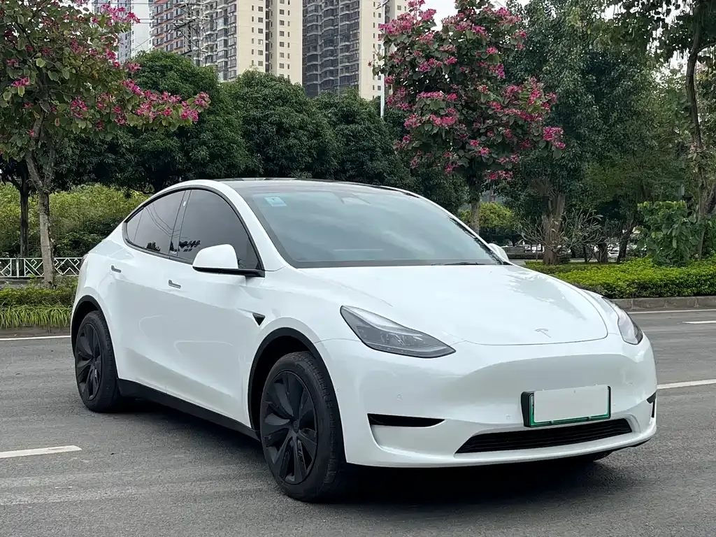 Tesla Model Y — фото 5