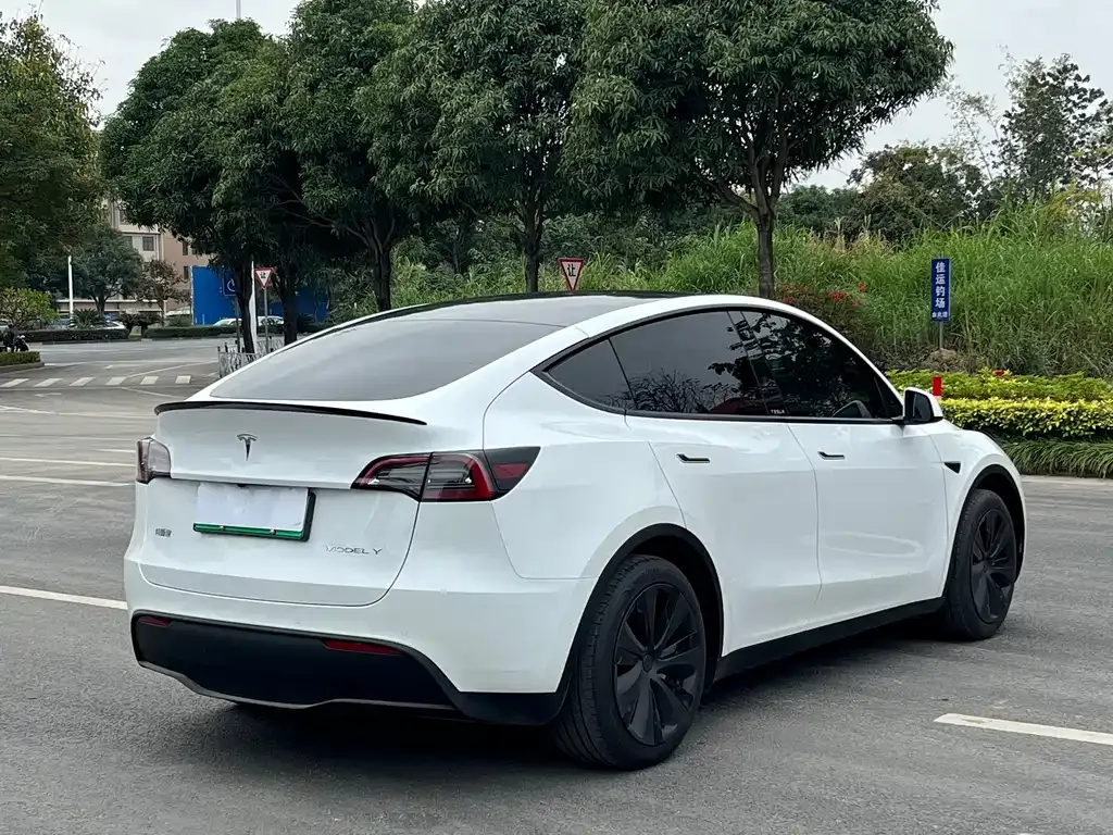 Tesla Model Y — фото 9