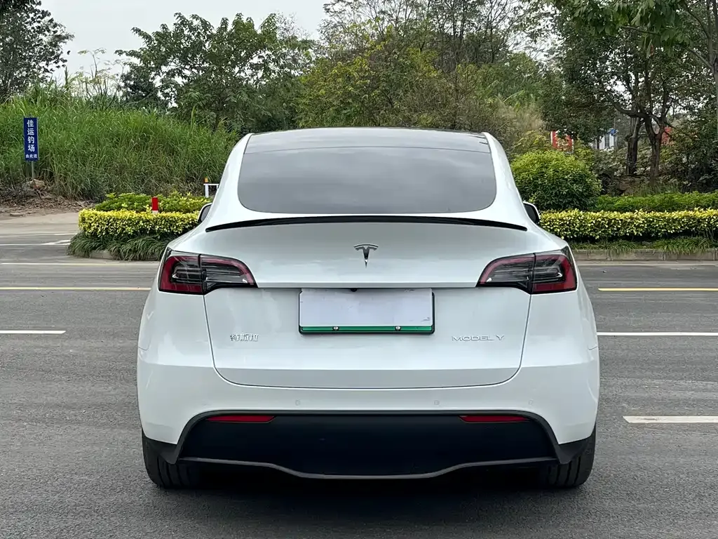 Tesla Model Y — фото 10