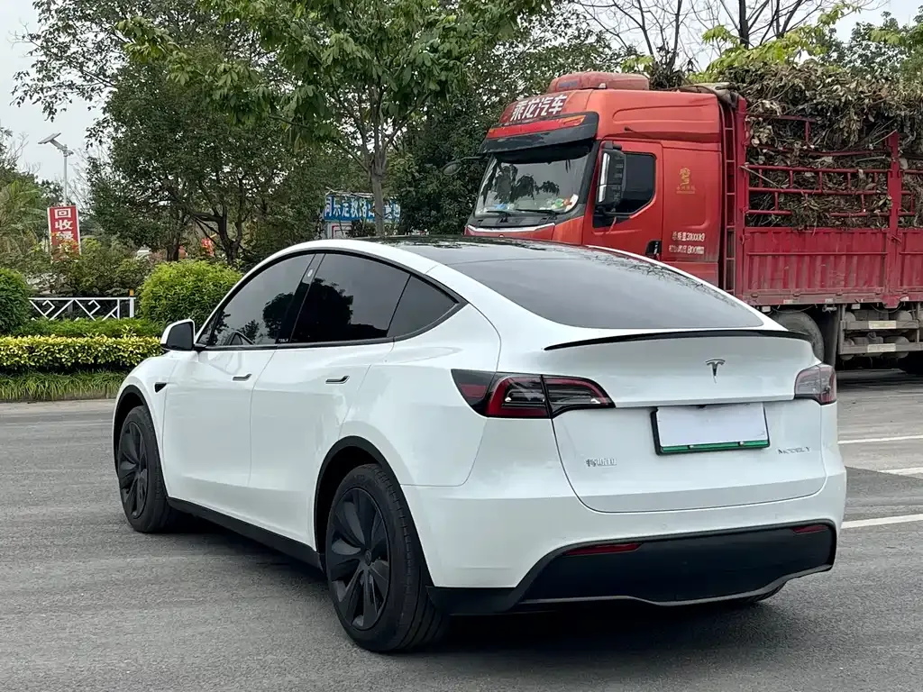 Tesla Model Y — фото 2