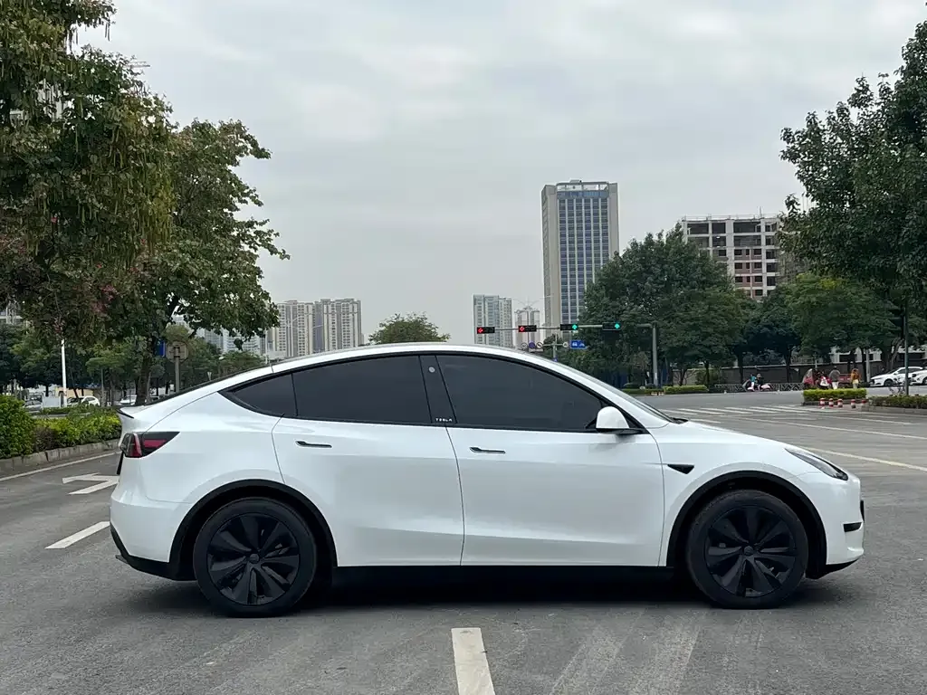 Tesla Model Y — фото 4