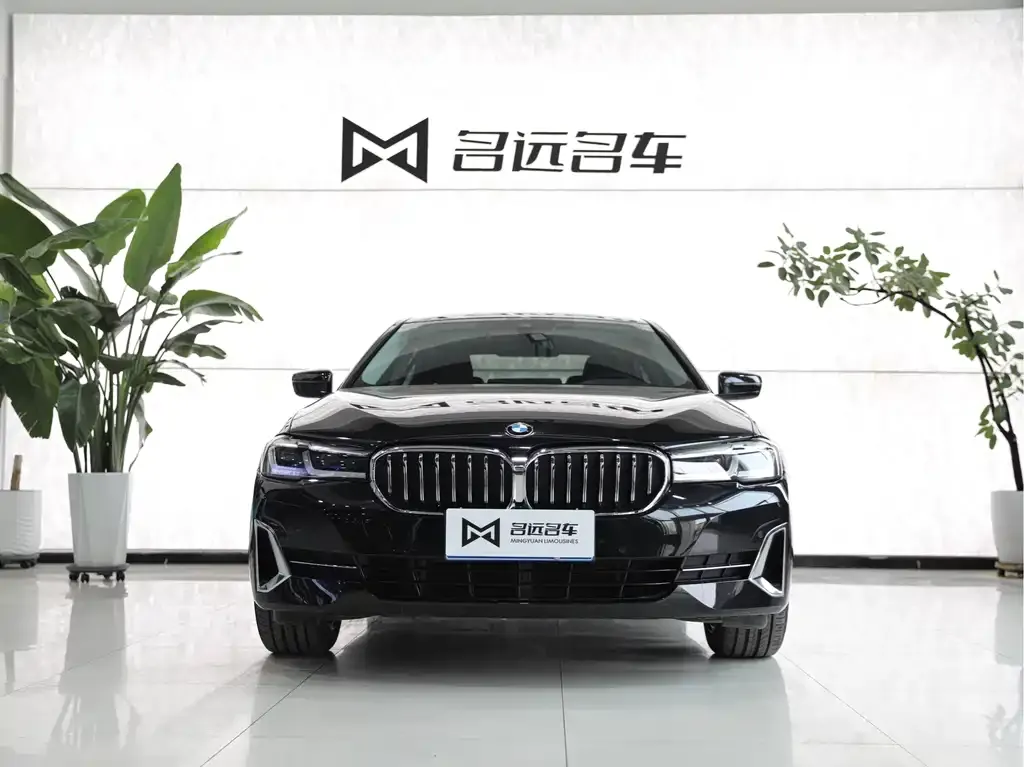 BMW 5 Series 2022 из CN, фото 3
