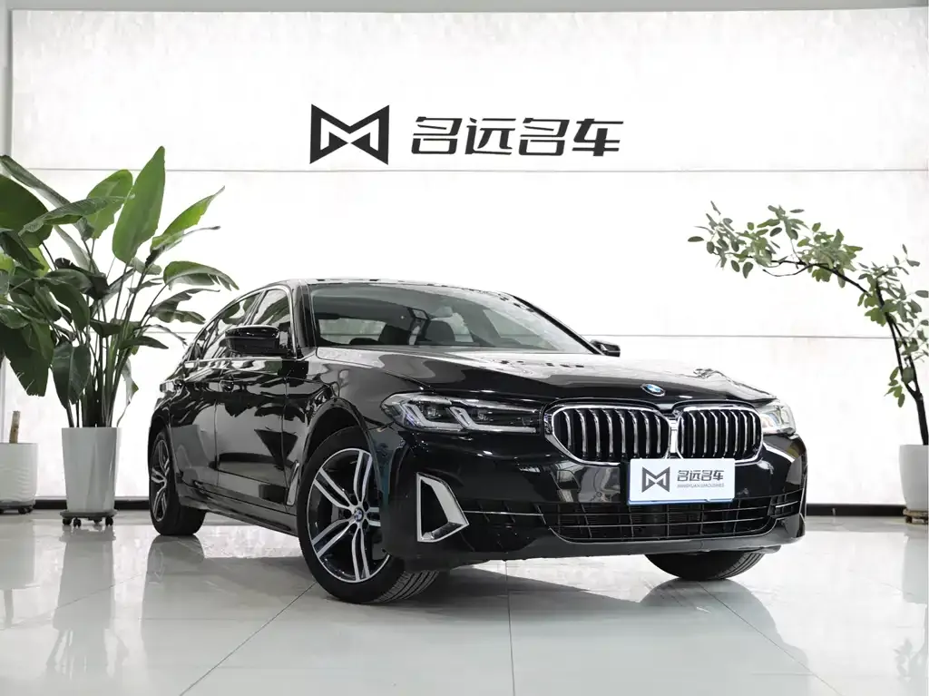 BMW 5 Series 2022 из CN, фото 6