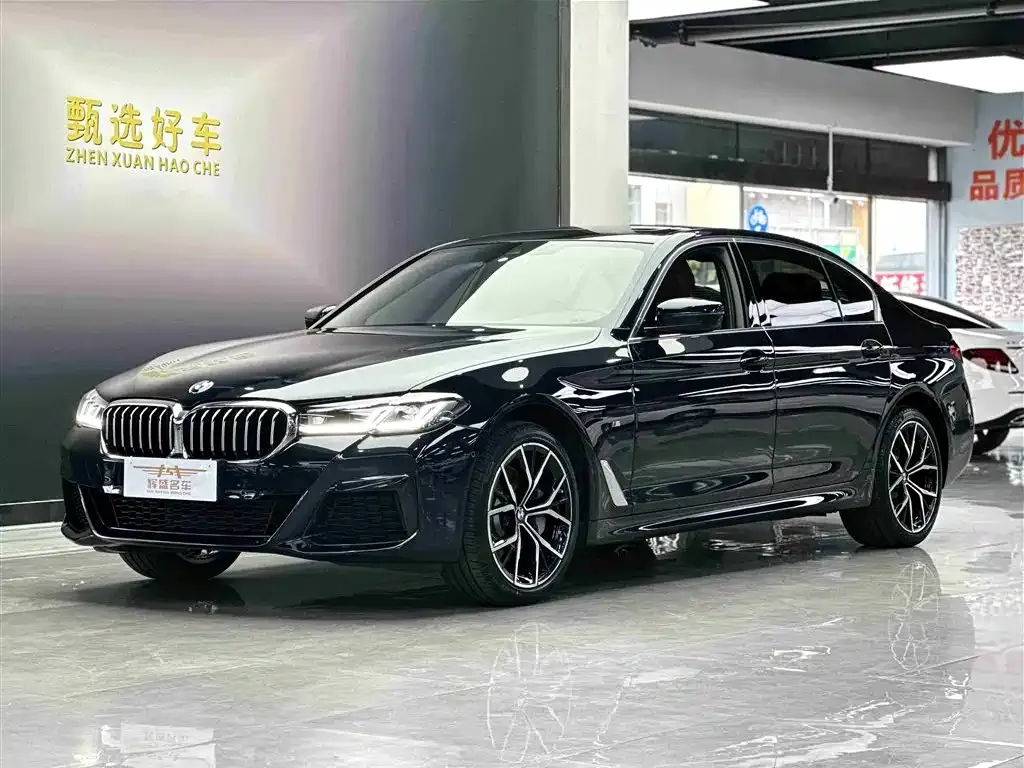 BMW 5 Series 2022 из CN, фото 1
