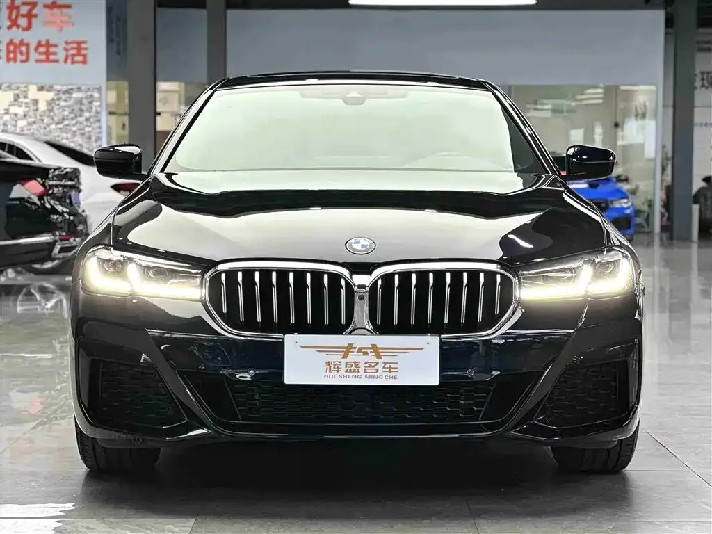 BMW 5 Series 2022 из CN, фото 3