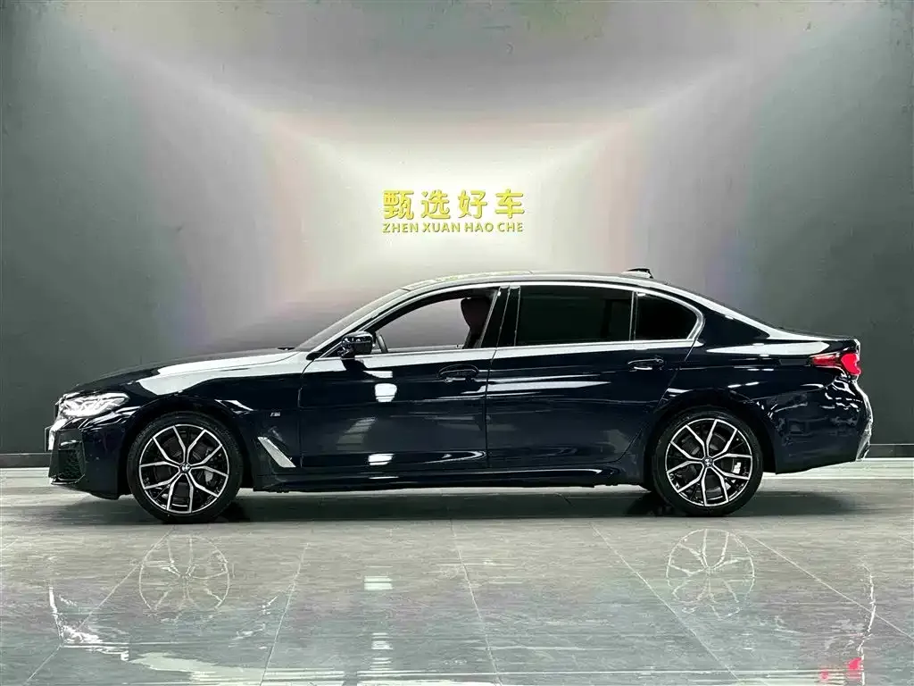 BMW 5 Series 2022 из CN, фото 6