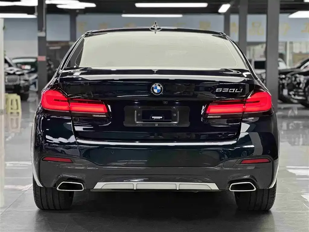 BMW 5 Series 2022 из CN, фото 10