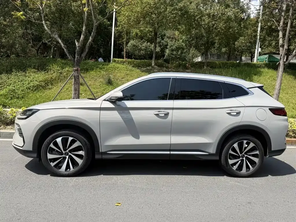 BYD PLUS New Energy 2023 из CN, фото 10