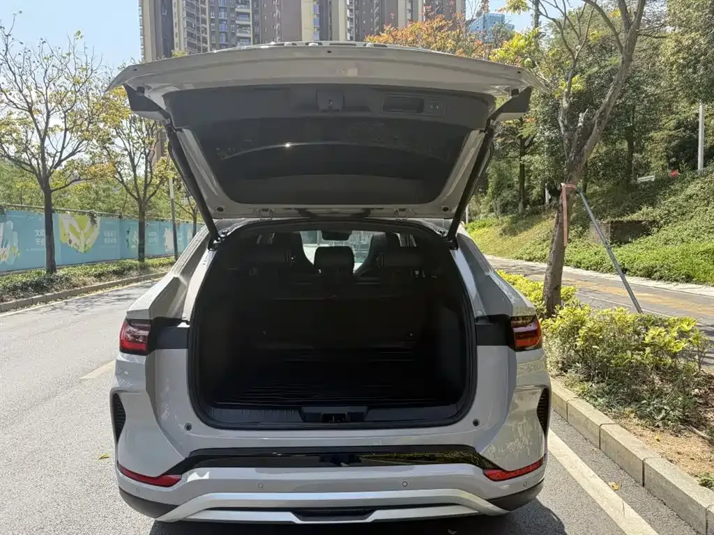 BYD PLUS New Energy 2023 из CN, фото 8