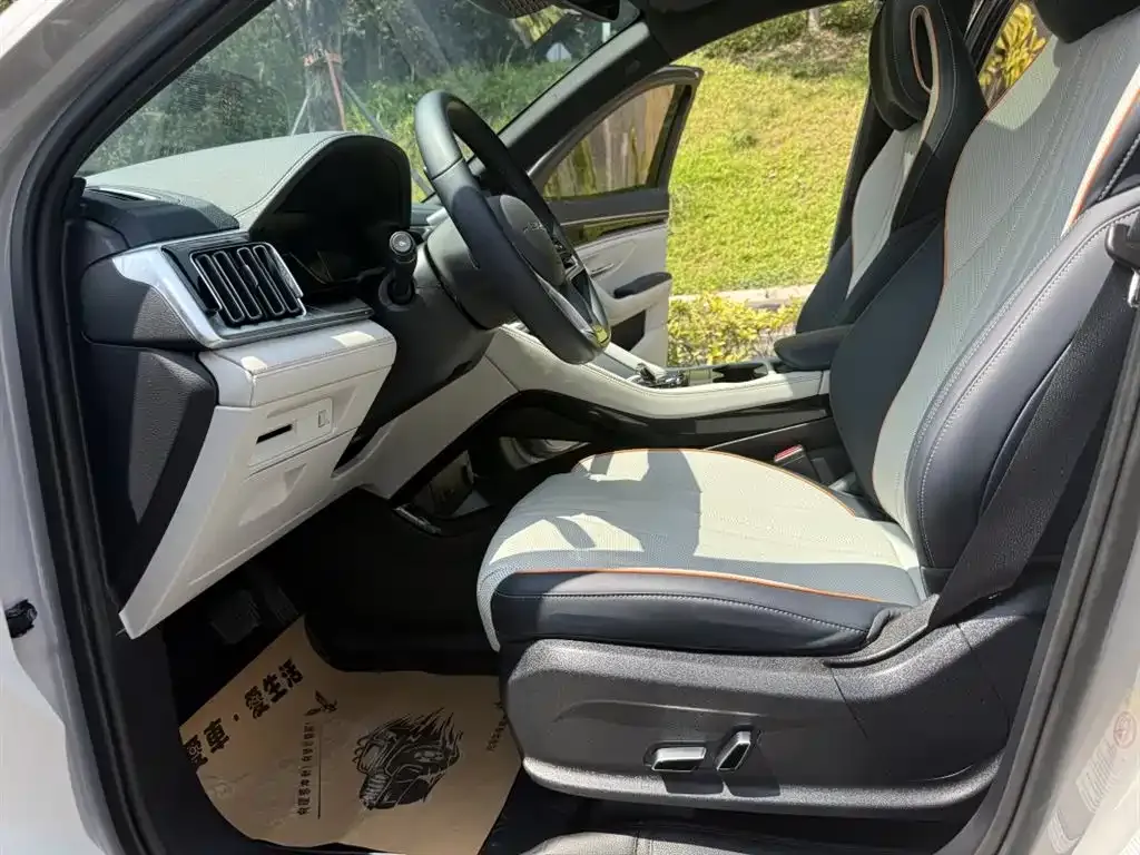 BYD PLUS New Energy 2023 из CN, фото 3