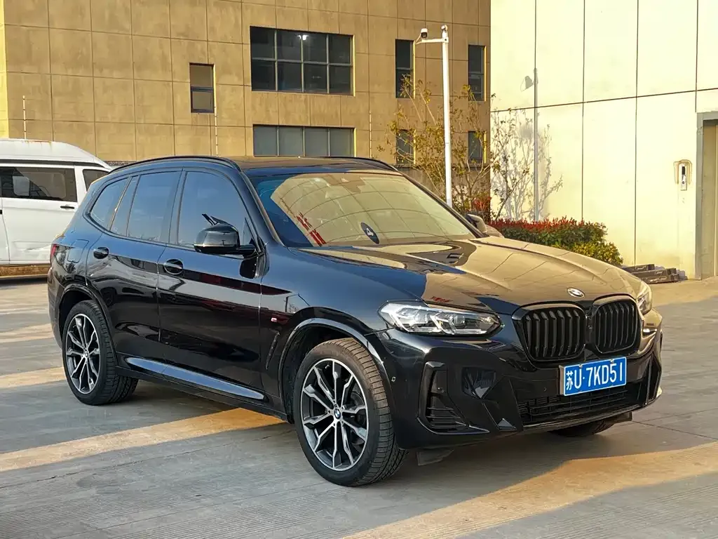 BMW X3 2024 из CN, фото 6