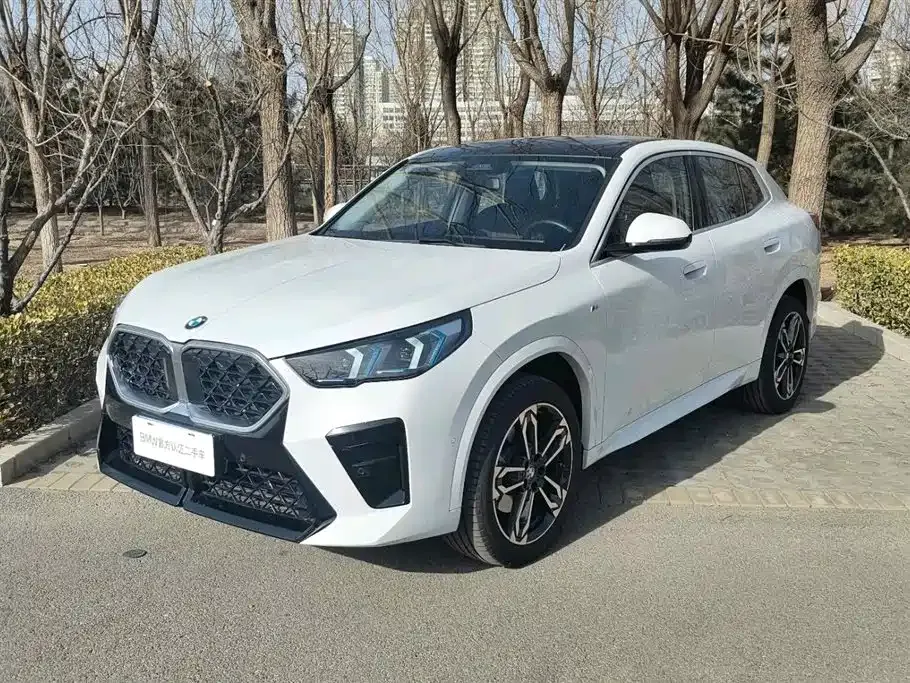 BMW X2 (Import) — фото 1