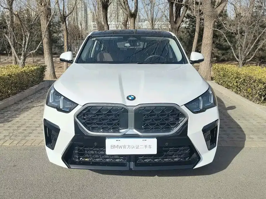 BMW X2 (Import) — фото 8
