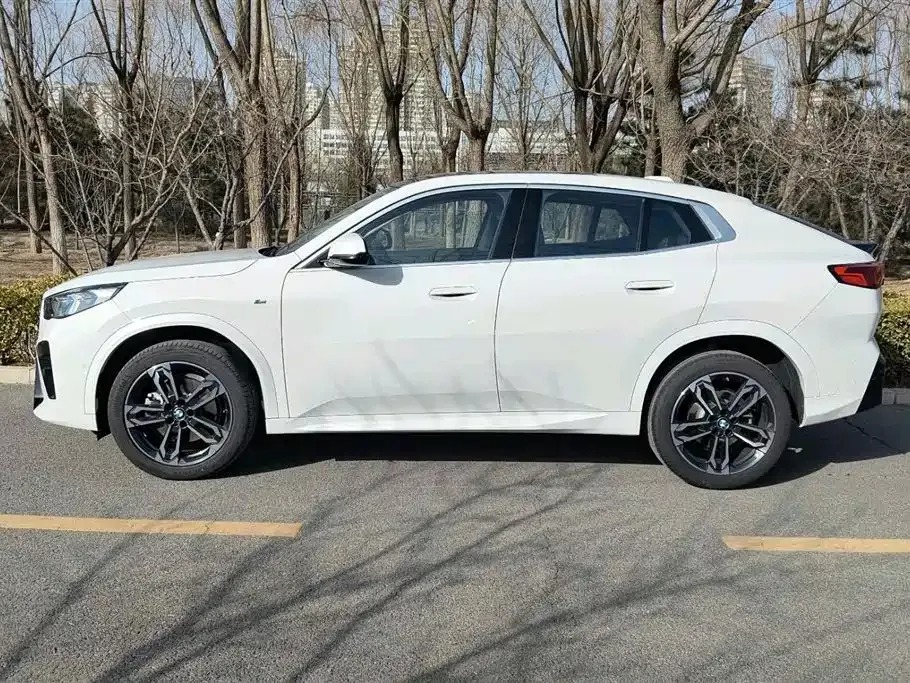 BMW X2 (Import) — фото 9