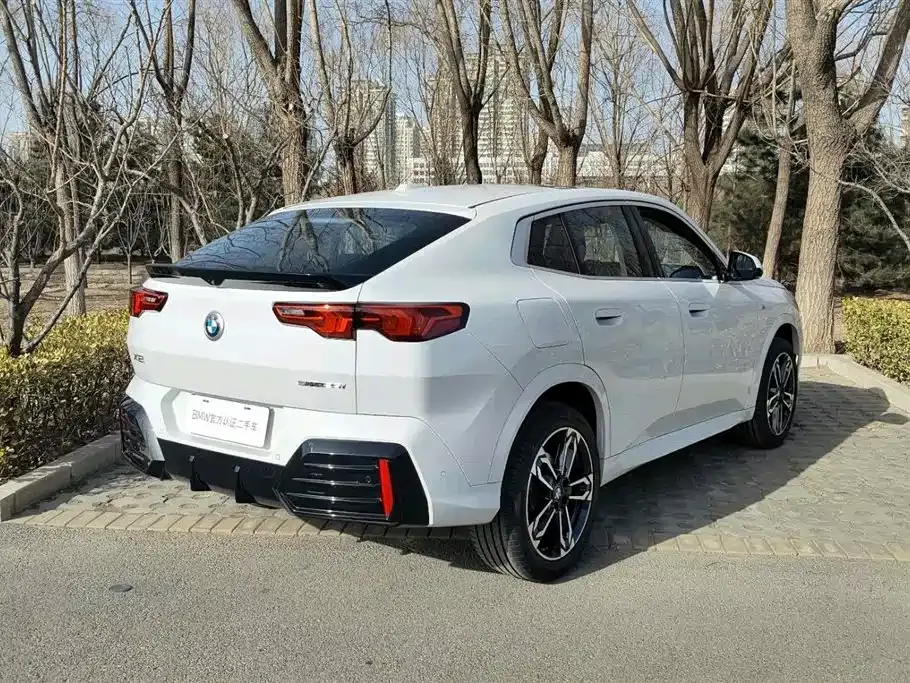 BMW X2 (Import) — фото 10