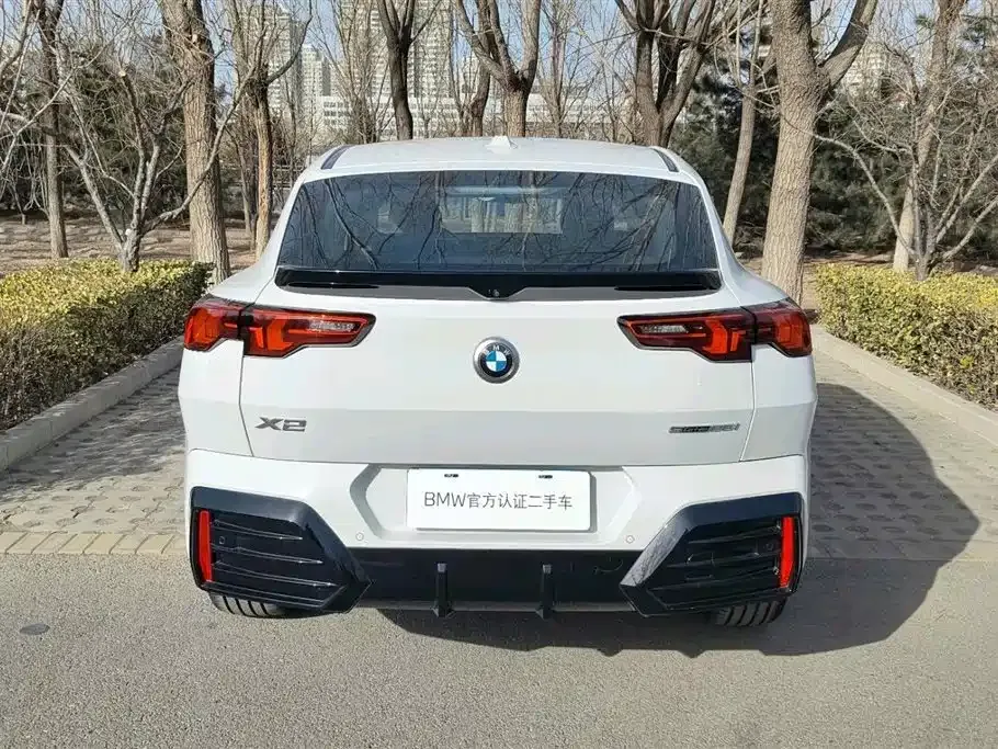 BMW X2 (Import) — фото 5