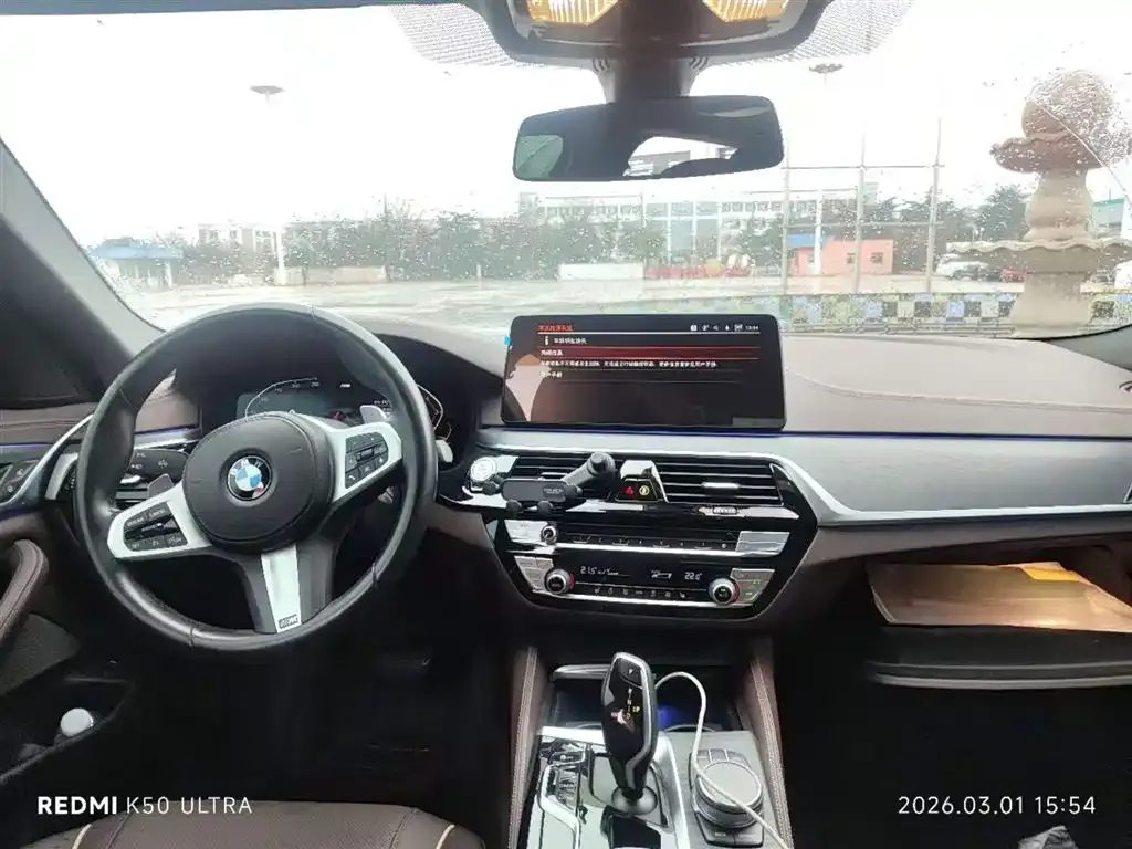 BMW 5 Series 2021 из CN, фото 9