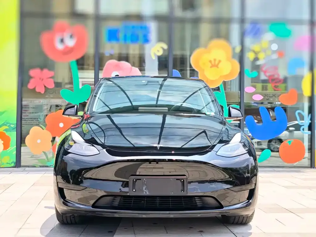 Tesla Model Y — фото 3