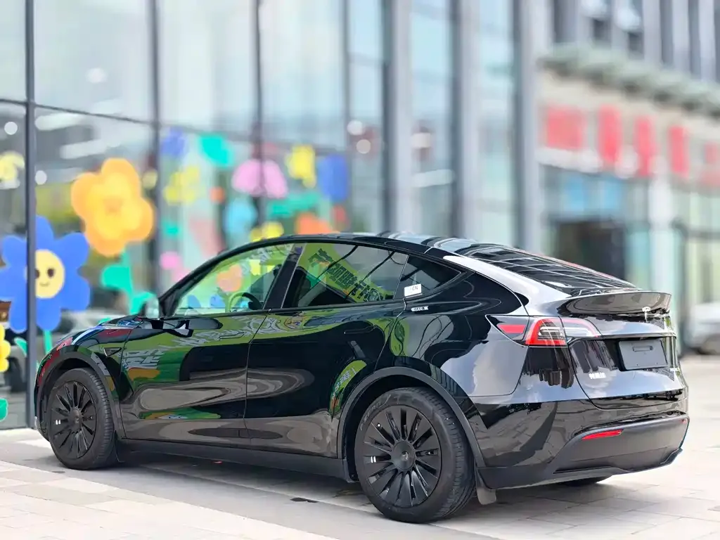 Tesla Model Y — фото 9