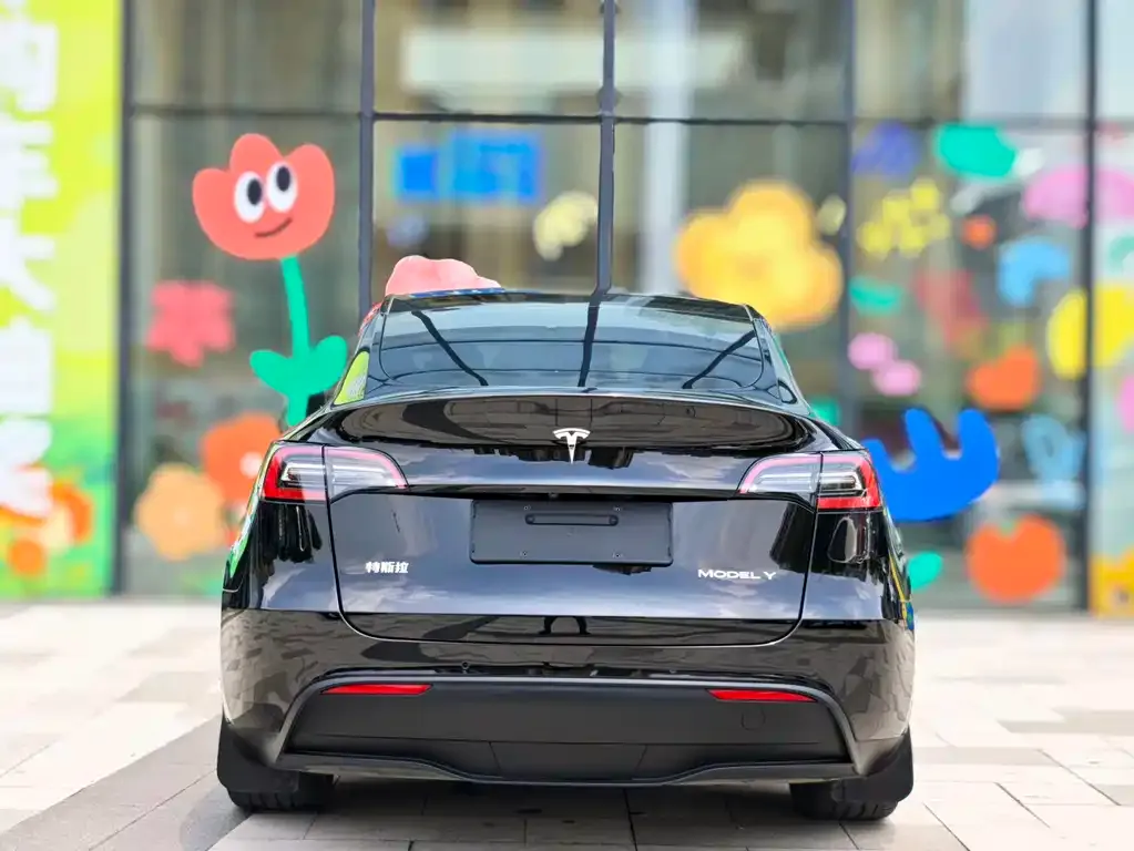 Tesla Model Y — фото 4