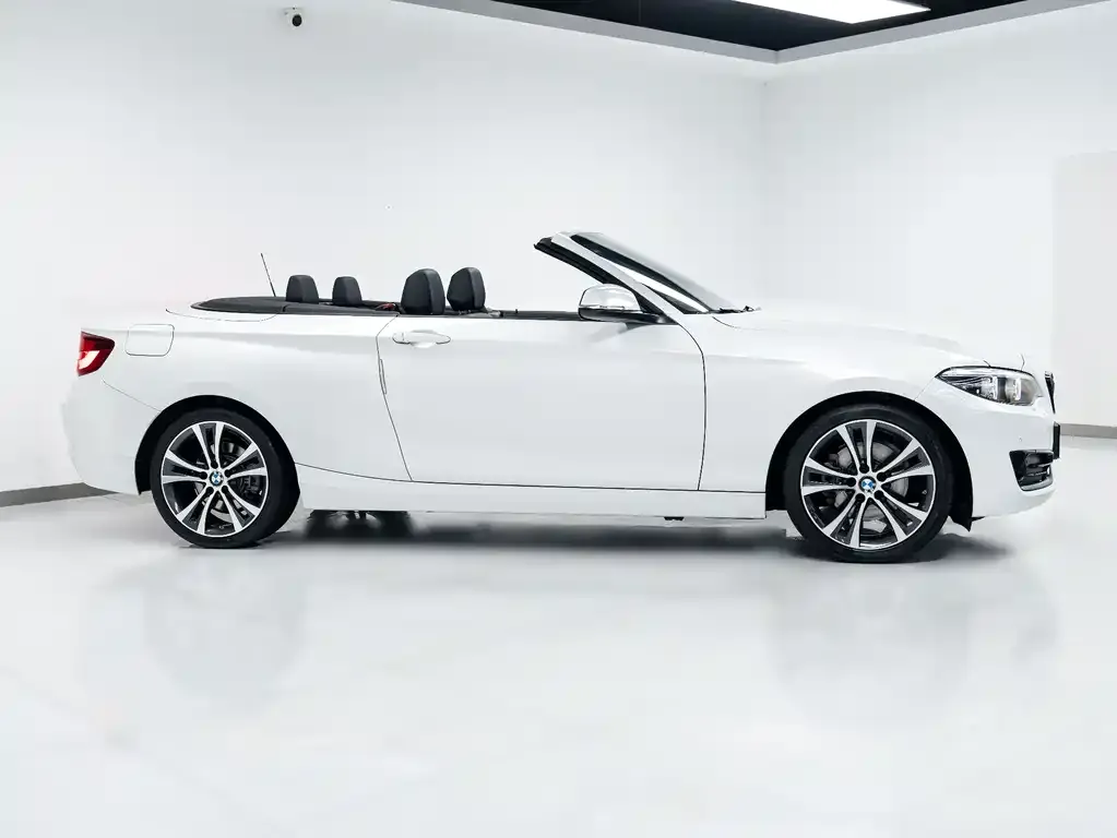 BMW 2 Series (Import) 2021 из CN, фото 8