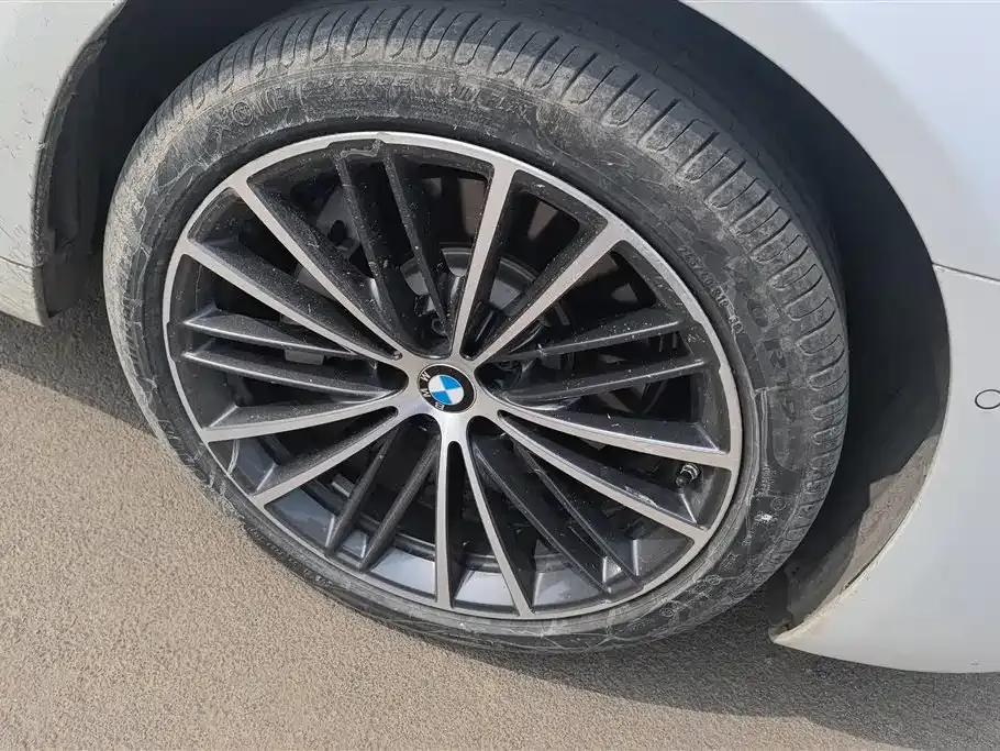 BMW 5 Series 2024 из CN, фото 10
