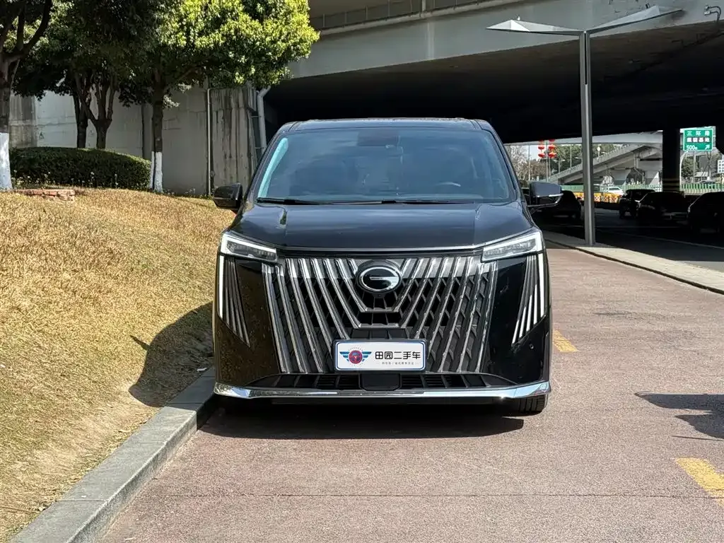 GAC Motor Trumpchi M8 2025 из CN, фото 9