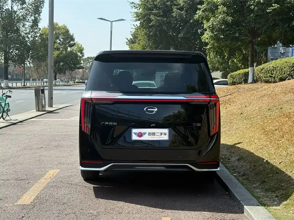 GAC Motor Trumpchi M8 2025 из CN, фото 10