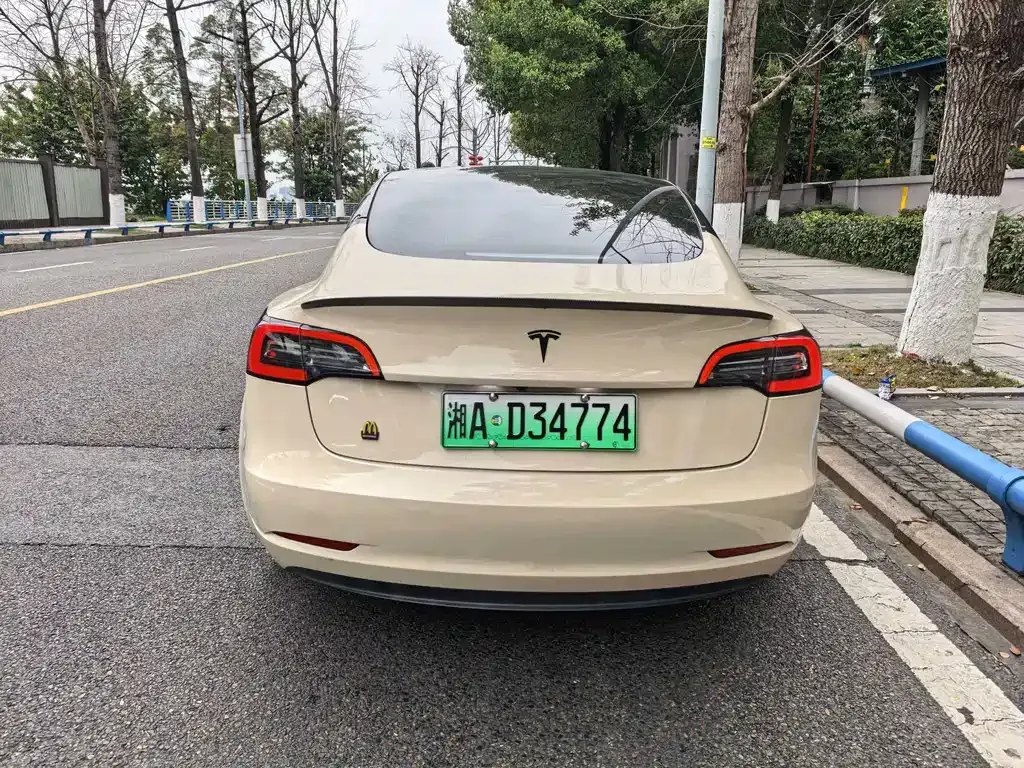 Tesla Model 3 2022 из CN, фото 9