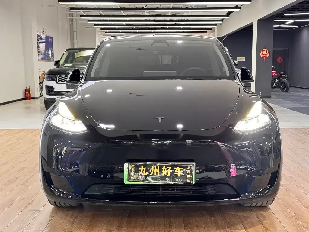 Tesla Model Y — фото 9