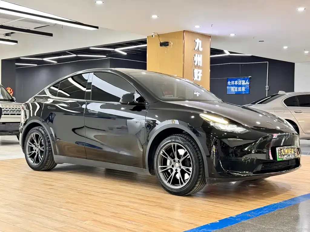 Tesla Model Y — фото 5