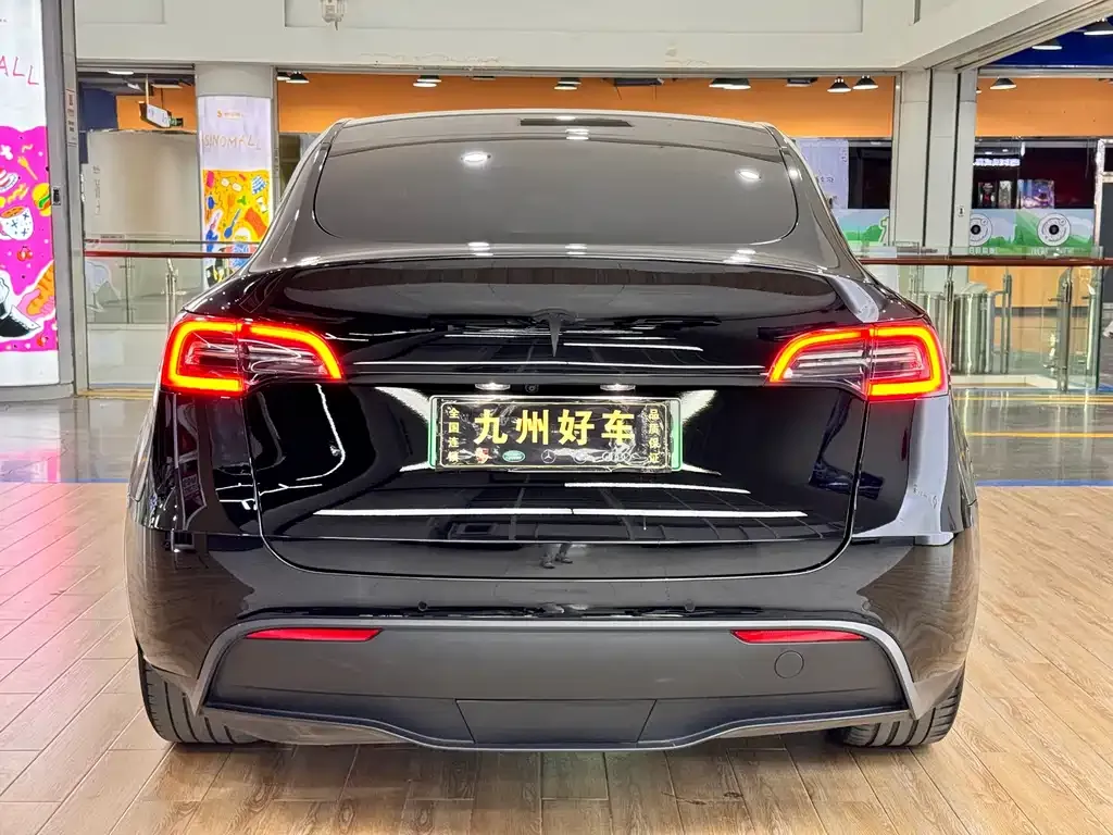 Tesla Model Y — фото 10