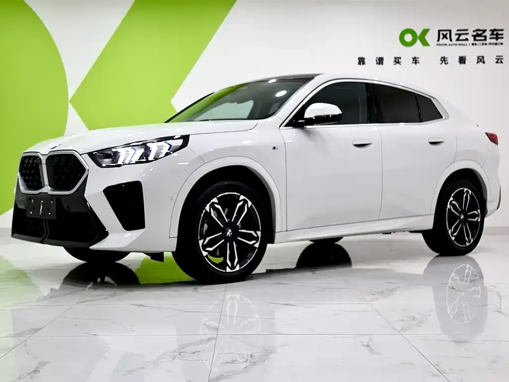BMW X2 (Import) — фото 1